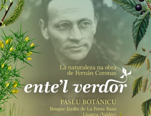 Paséu botánicu: ente’l verdor